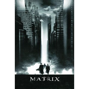 Umělecký tisk Matrix - Reloaded, (26.7 x 40 cm)