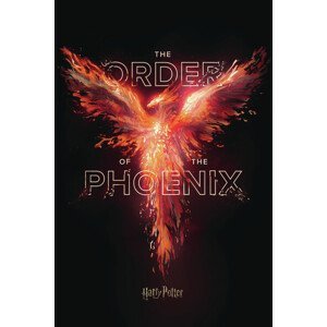 Umělecký tisk Harry Potter - Fenixův řád, (26.7 x 40 cm)