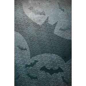 Umělecký tisk Batman - Logo, (26.7 x 40 cm)