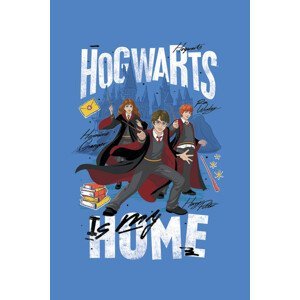 Umělecký tisk Harry Potter - Hogwarts is my home, (26.7 x 40 cm)