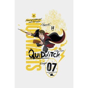 Umělecký tisk Harry Potter - Quidditch 07, (26.7 x 40 cm)