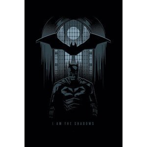 Umělecký tisk The Batman - I am the shadows, (26.7 x 40 cm)