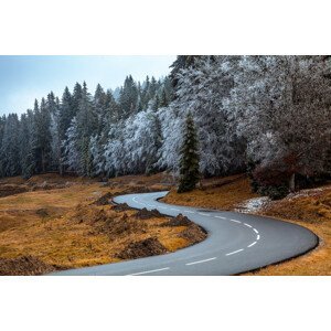 Umělecká fotografie The road and the frozen trees, Visions Paralleles, (40 x 26.7 cm)