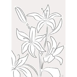 Ilustrace Lillies No 03, Studio Collection, (26.7 x 40 cm)