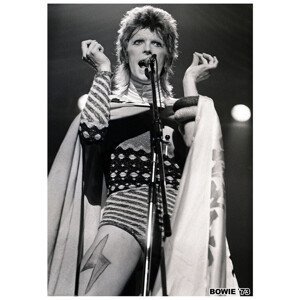 Plakát, Obraz - David Bowie - Ziggy Stardust 1973, (59.4 x 84.1 cm)