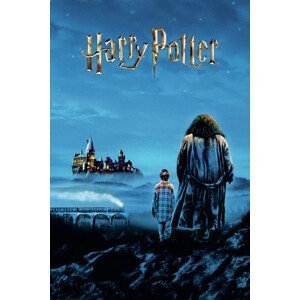 Umělecký tisk Harry Potter - Hogwarts view, (26.7 x 40 cm)