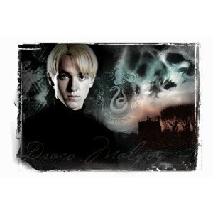 Umělecký tisk Harry Potter - Draco Malfoy, (40 x 26.7 cm)