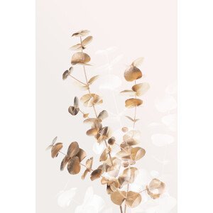 Ilustrace Eucalyptus Creative Gold 03, Studio Collection, (26.7 x 40 cm)