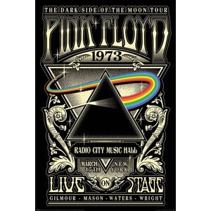 Plakát, Obraz - Pink Floyd - 1973, (61 x 91.5 cm)