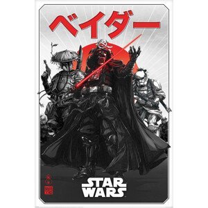 Plakát, Obraz - Star Wars: Visions - Da-ku Saido, (61 x 91.5 cm)