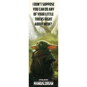 Plakát, Obraz - Star Wars: The Mandalorian - Special Tricks, (53 x 158 cm)