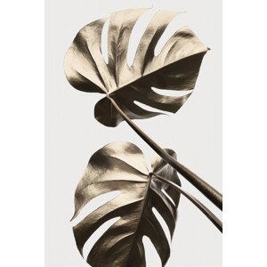 Ilustrace Monstera Gold 08, Studio Collection, (26.7 x 40 cm)