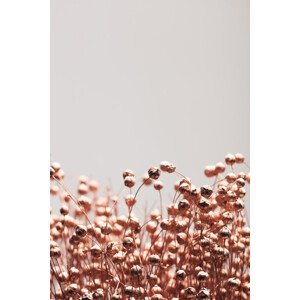 Umělecká fotografie Dried Grass Copper 04, Studio Collection, (26.7 x 40 cm)