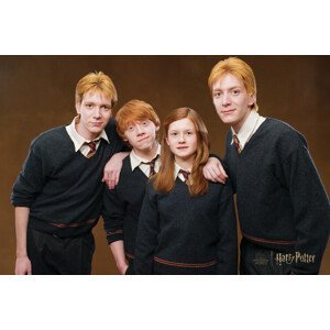Umělecký tisk Harry Potter - Weasley family, (40 x 26.7 cm)