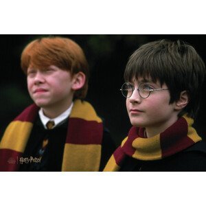 Umělecký tisk Harry Potter and Ron Weasley, (40 x 26.7 cm)