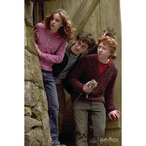 Umělecký tisk Harry Potter - Famous trio, (26.7 x 40 cm)