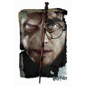 Umělecký tisk Harry Potter vs Voldemort, (26.7 x 40 cm)