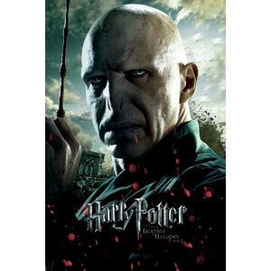 Umělecký tisk Voldemort, (26.7 x 40 cm)