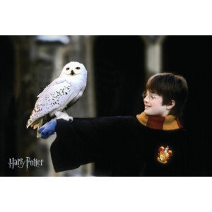 Umělecký tisk Harry Potter with Hedvig, (40 x 26.7 cm)