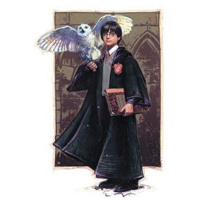 Umělecký tisk Harry Potter with Hedvig - Art, (26.7 x 40 cm)