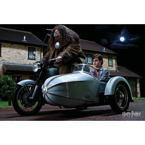 Umělecký tisk Hagrid's Motorbike, (40 x 26.7 cm)