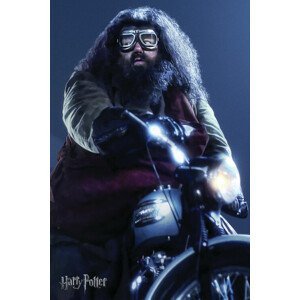 Umělecký tisk Harry Potter - Hagrid, (26.7 x 40 cm)