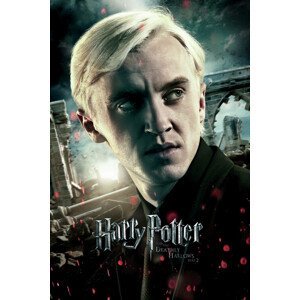 Umělecký tisk Harry Potter - Draco, (26.7 x 40 cm)