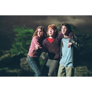 Umělecký tisk Harry Potter - Stick together, (40 x 26.7 cm)