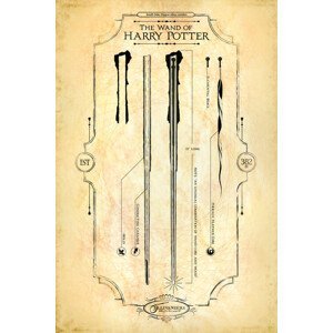 Umělecký tisk The wand of Harry Potter, (26.7 x 40 cm)