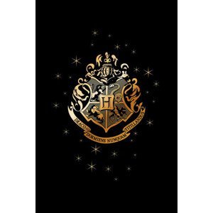 Umělecký tisk Hogwarts Golden Emblem, (26.7 x 40 cm)