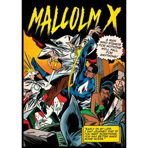 Umělecký tisk Malcolm X, Ads Libitum / David Redon, (30 x 40 cm)