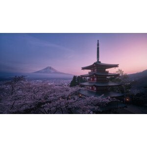 Umělecká fotografie Mt Fuji Sakura, Javier de la, (40 x 22.5 cm)