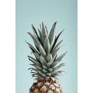 Umělecká fotografie Pineapple Blue 03, Studio Collection, (26.7 x 40 cm)