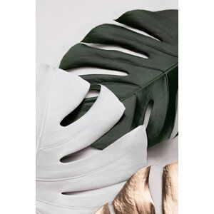 Ilustrace Monstera Colors 01, Studio Collection, (26.7 x 40 cm)