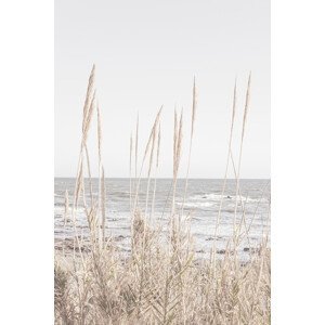 Umělecká fotografie Beach_Vass_001, Studio Collection, (26.7 x 40 cm)