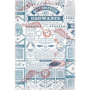 Umělecký tisk Harry Potter - Quidditch at Hogwarts, (26.7 x 40 cm)