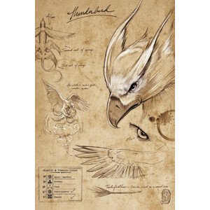 Umělecký tisk Fantastická zvířata - Thunderbird, (26.7 x 40 cm)