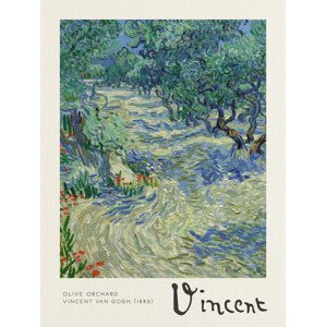 Obrazová reprodukce Olive Orchard - Vincent van Gogh, (30 x 40 cm)