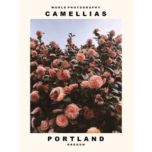 Umělecká fotografie Camellias (Portland, Oregon), (30 x 40 cm)