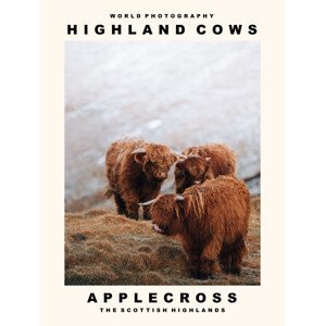 Umělecká fotografie Highland Cows (Applecross, The Scottish Highlands), (30 x 40 cm)