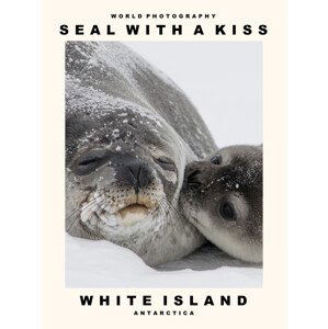 Umělecká fotografie Seal with a Kiss (White Island, Antarctica), (30 x 40 cm)