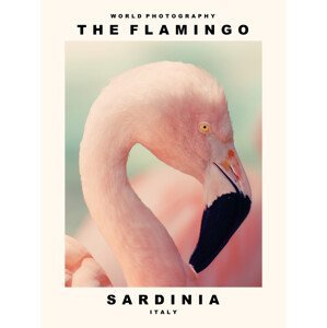 Umělecká fotografie The Flamingo (Sardinia, Italy), (30 x 40 cm)