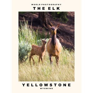 Umělecká fotografie The Elk (Yellowstone, Wyoming), (30 x 40 cm)