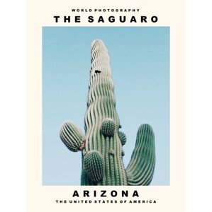 Umělecká fotografie The Saguaro (Arizona, USA), (30 x 40 cm)