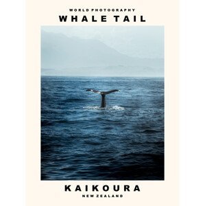 Umělecká fotografie Whale Tail (Kaikoura, New Zealand), (30 x 40 cm)