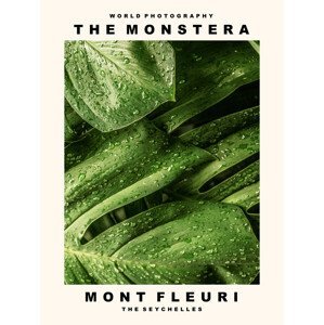 Umělecká fotografie The Monstera (Mont Fleuri, The Seychelles), (30 x 40 cm)