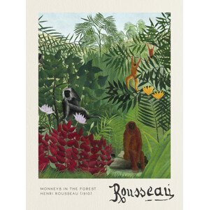 Obrazová reprodukce Monkeys in the Forest - Henri Rousseau, (30 x 40 cm)