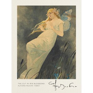 Obrazová reprodukce The Elf in the Iris Blossoms - Alfons Mucha, (30 x 40 cm)