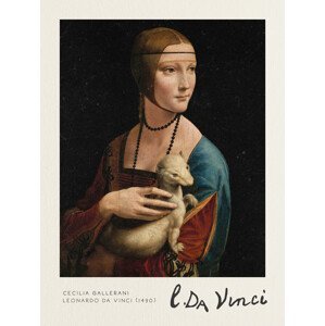 Obrazová reprodukce Cecilia Gallerani (The Lady with an Ermine) - Leonardo Da Vinci, (30 x 40 cm)