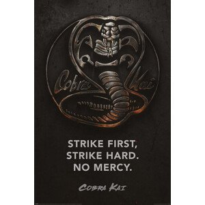 Plakát, Obraz - Cobra Kai - Metal, (61 x 91.5 cm)
